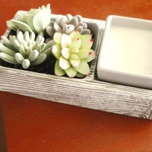 SUC-CUTE-LENT Scentsy Warmer